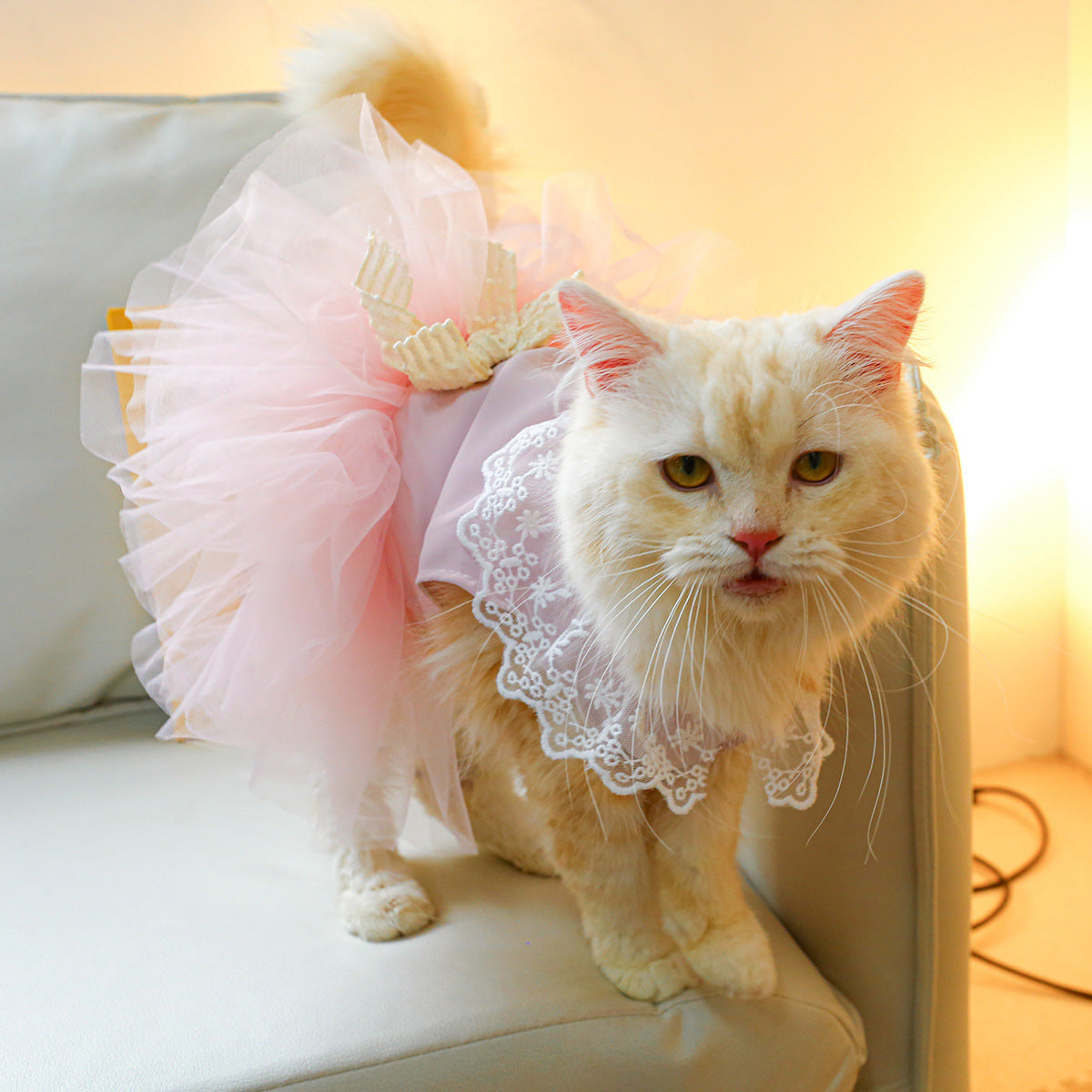 Transform Your Feline's Wardrobe with Our Adorable Lace Cat Clothes!